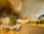 forest fire smoke