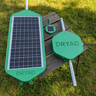 dryad silvanet products