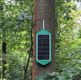 silvanet mesh gateway