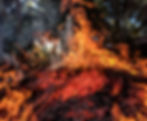 wildfire burning 