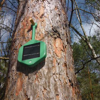 dryad wildfire sensor