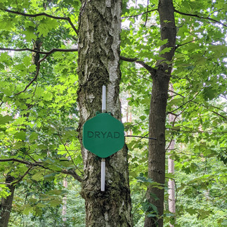 silvanet border gateway