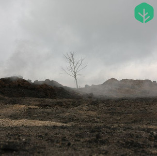peat fire