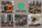 human causes of wildfires