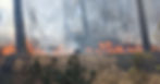 The fire burnt an area of 100x100m (1 ha)