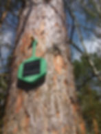 Sensor Networks