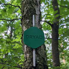 Silvanet Border Gateway on a tree