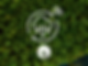 the connected forest