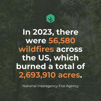wildfire stats
