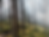 Dryad's First Unplanned Wildfire Detected