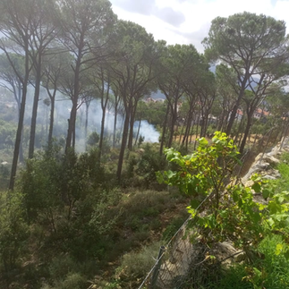 unauthorized wildfire in lebanon