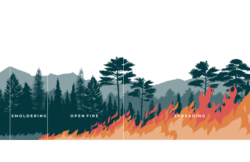 Competitive Slide 4.png