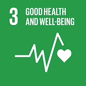 SDG 3, Sustainable Development Goals, Pollution, Cancer Risk, Wildfires, Risk, Death, Fire Fighters